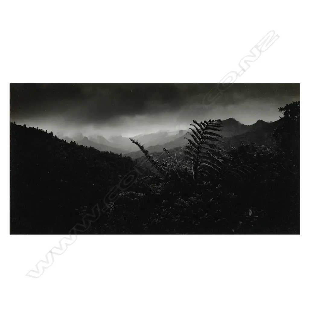 John Fields (1938-2013) ‘Coroglen road, Coromandel Peninsula’, Image 1++